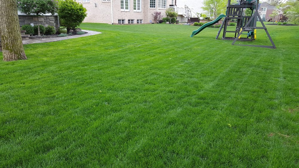 Photo of Bee Green Organic & Traditional Lawn & Plant Healthcare