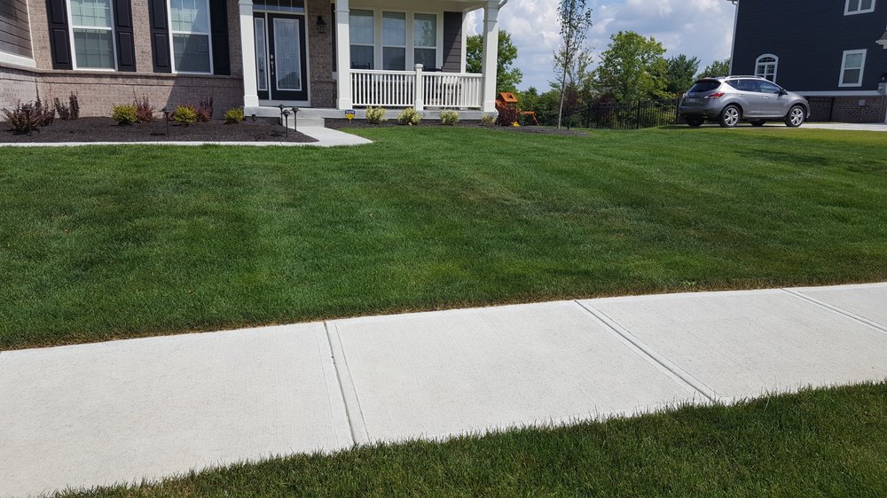Photo of Bee Green Organic & Traditional Lawn & Plant Healthcare
