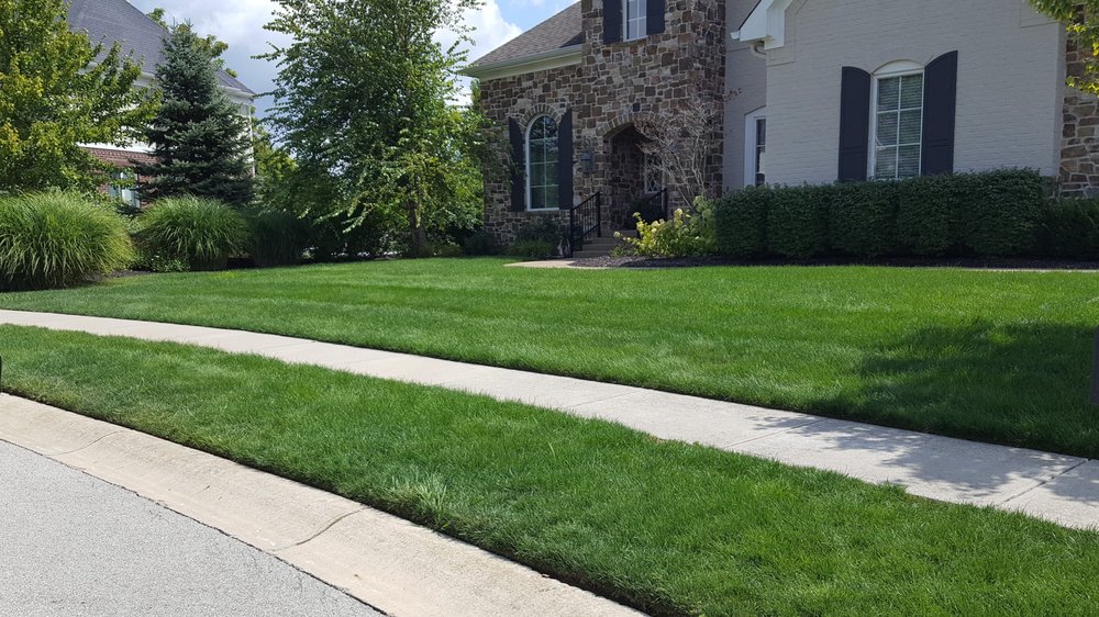 Photo of Bee Green Organic & Traditional Lawn & Plant Healthcare