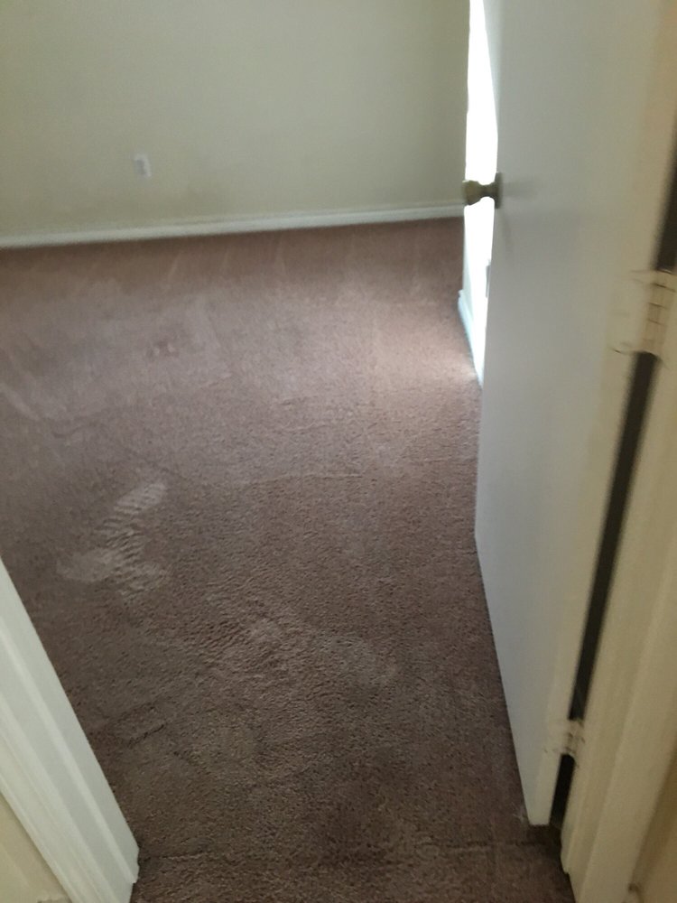 Photo of Steam Solutions Carpet Care