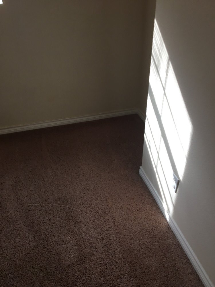 Photo of Steam Solutions Carpet Care
