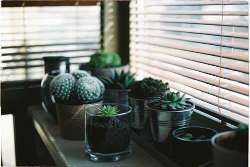 Photo of Bugsy's Blinds & Custom Shutters