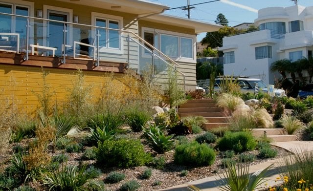 Photo of Cabrillo Landscape