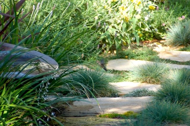 Photo of Cabrillo Landscape
