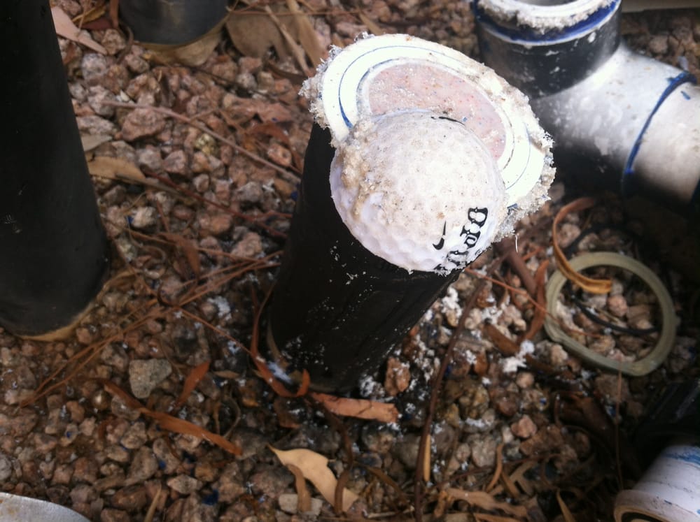 Photo of Bee Clean Pools