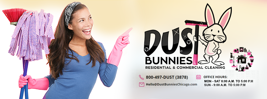 Photo of Dust Bunnies