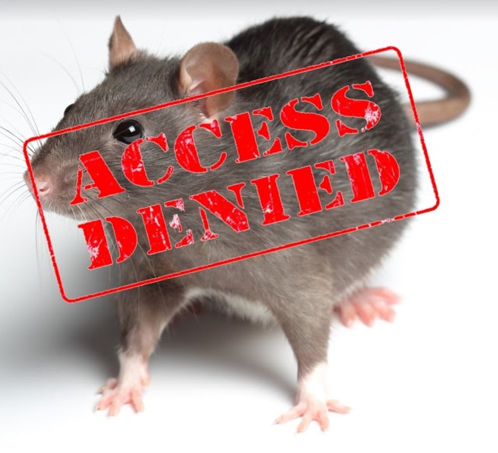 Photo of SF Rodent Control