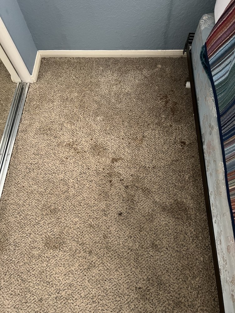 Photo of Above & Beyond Carpet Care