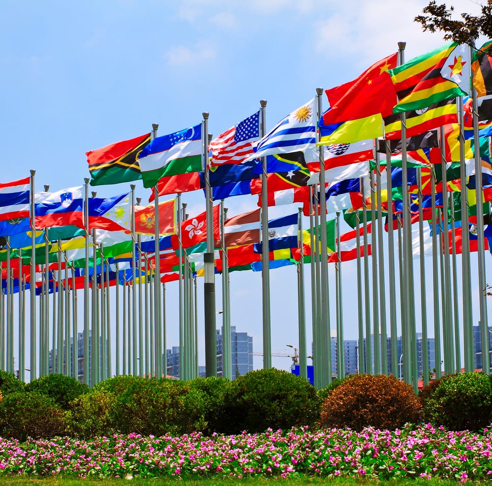 Photo of Budget Immigration Center