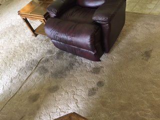 Photo of Temple Carpet Cleaning