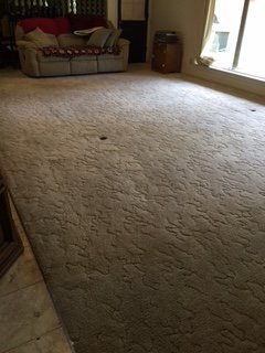Photo of Temple Carpet Cleaning