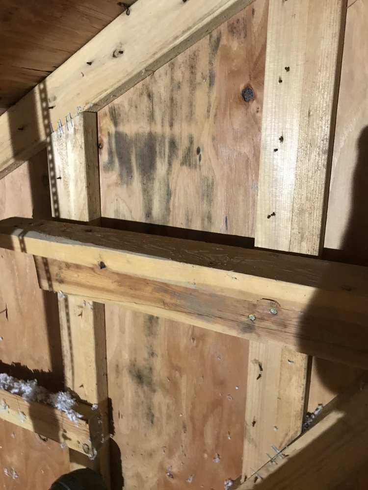 Photo of A&M Restoration