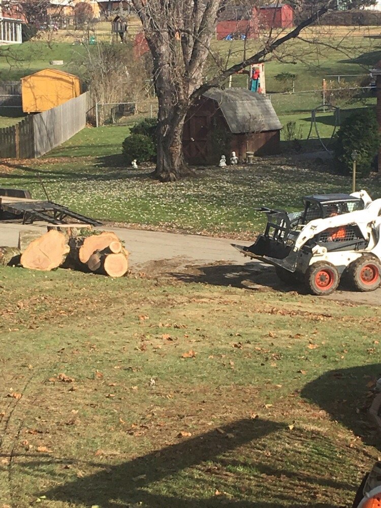 Photo of Coffey & Son Tree Service