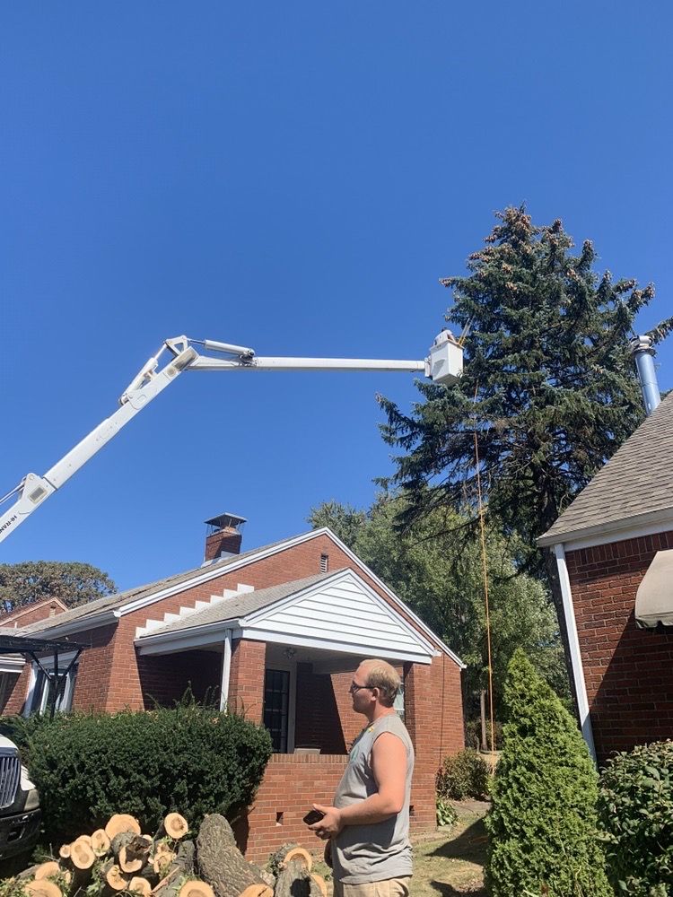 Photo of Coffey & Son Tree Service