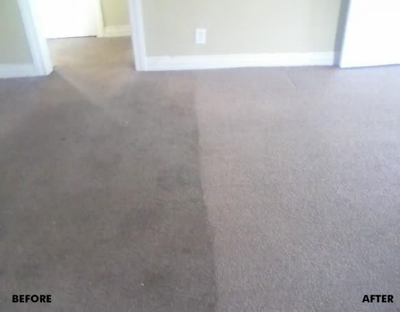Photo of Impeccable Carpet Cleaning
