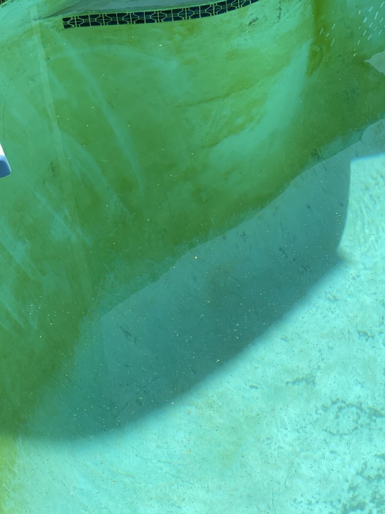 Photo of Northern Oasis Pool Services