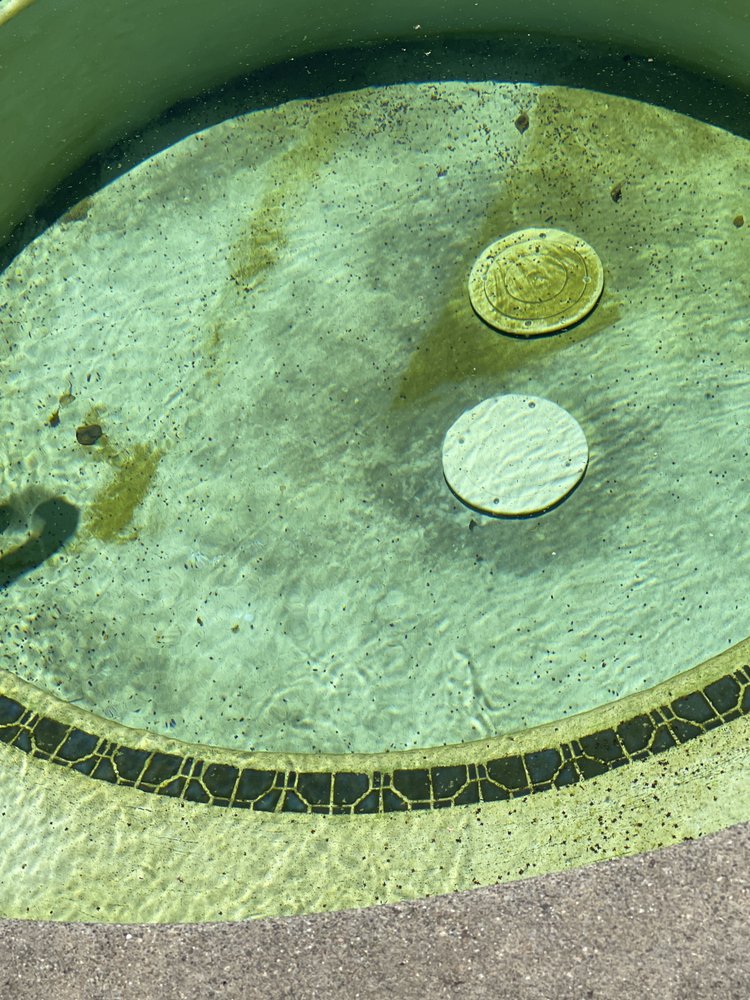 Photo of Northern Oasis Pool Services