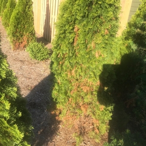 Noblesville L A Landscapes