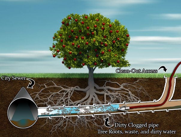 Photo of Drain Flow
