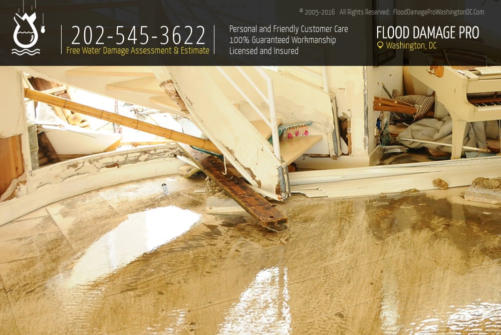 Photo of Flood Damage Pro