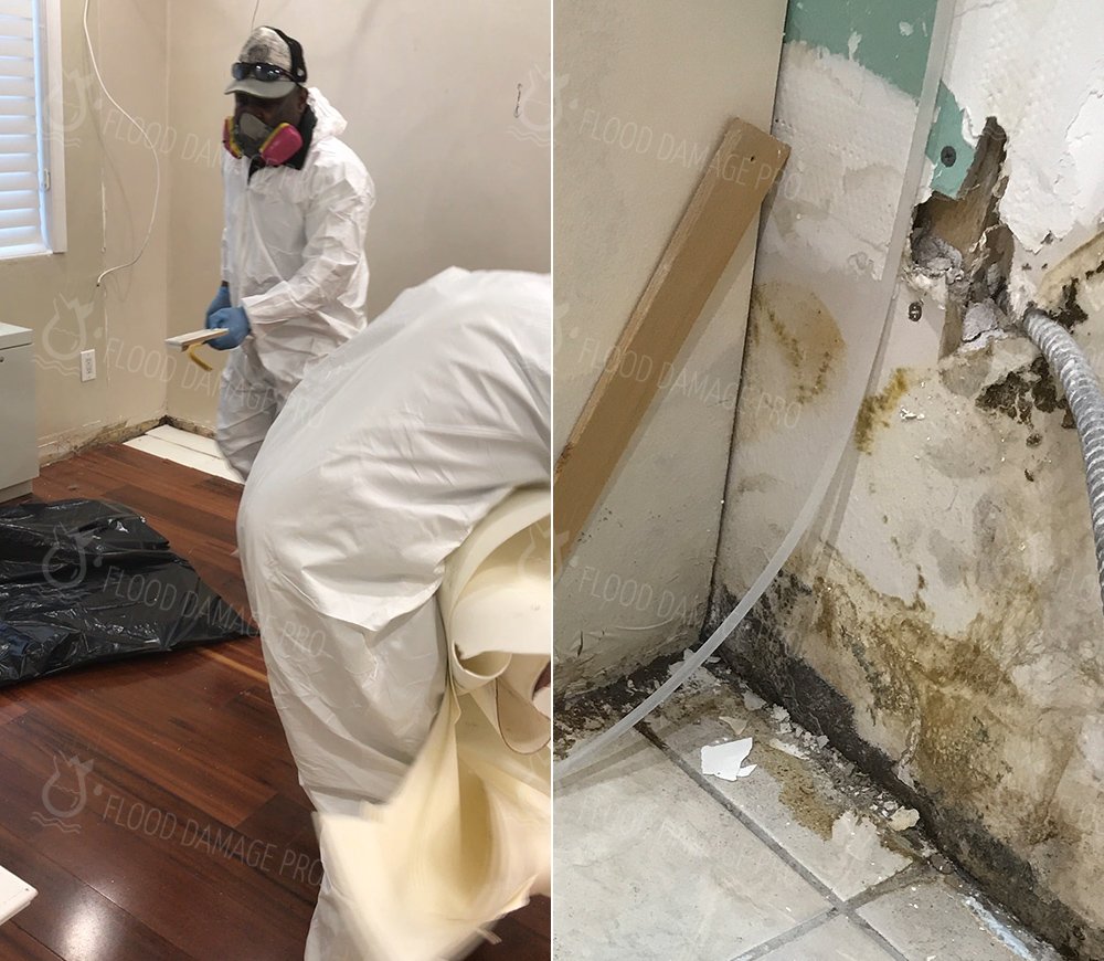 Photo of Flood Damage Pro