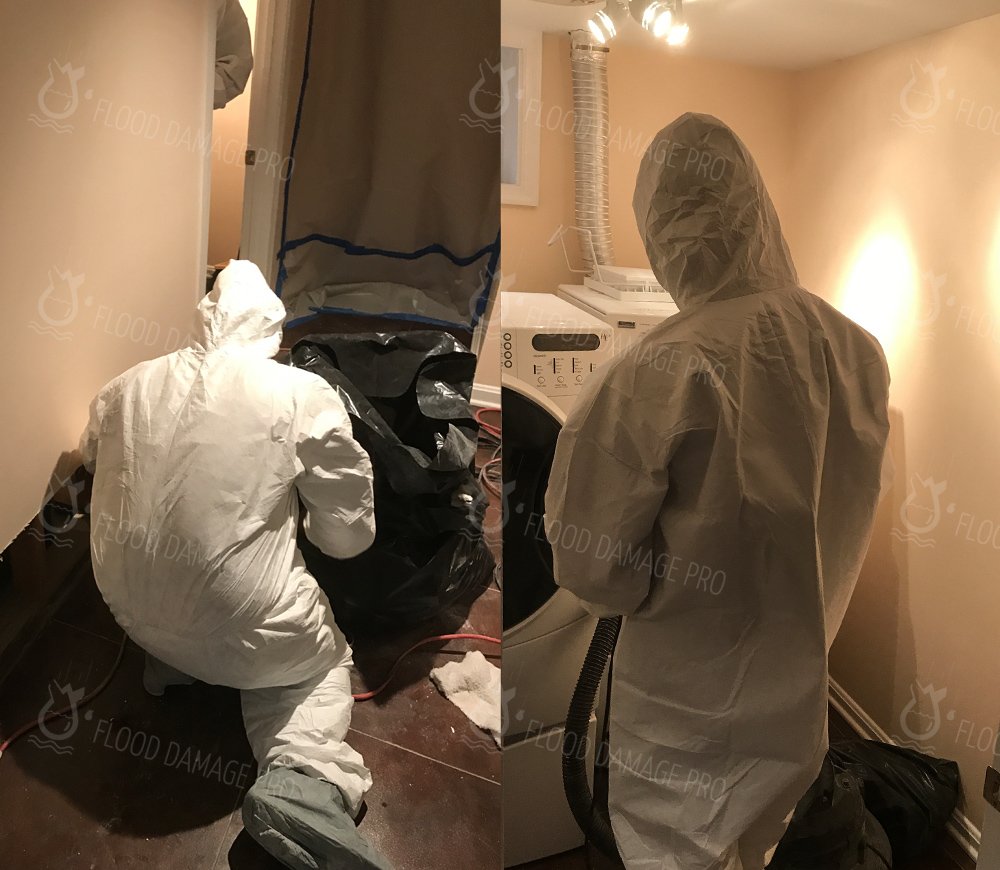 Photo of Flood Damage Pro