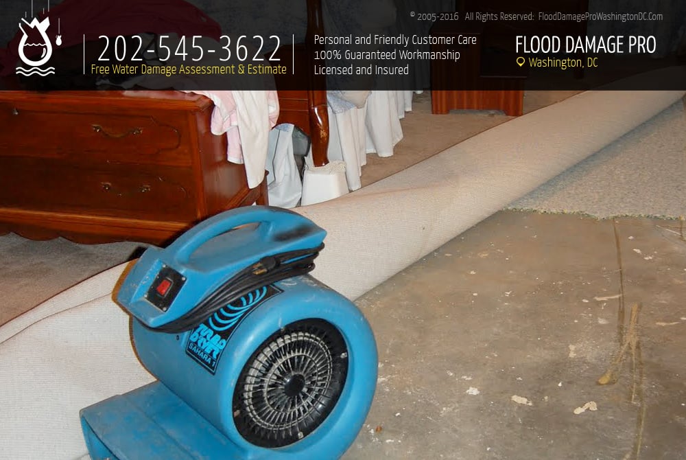 Photo of Flood Damage Pro