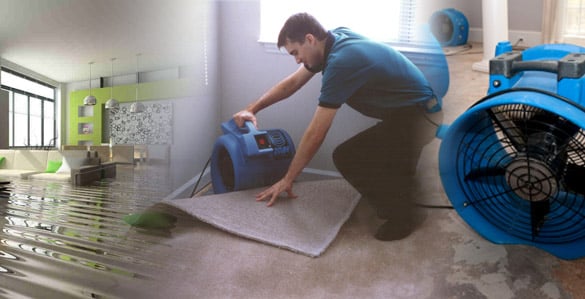 Photo of Magic Touch Carpet Cleaning & Water Damage Restoration