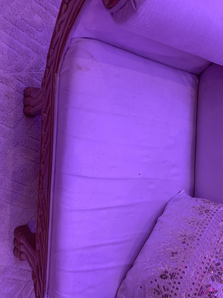 Photo of Divine Decor