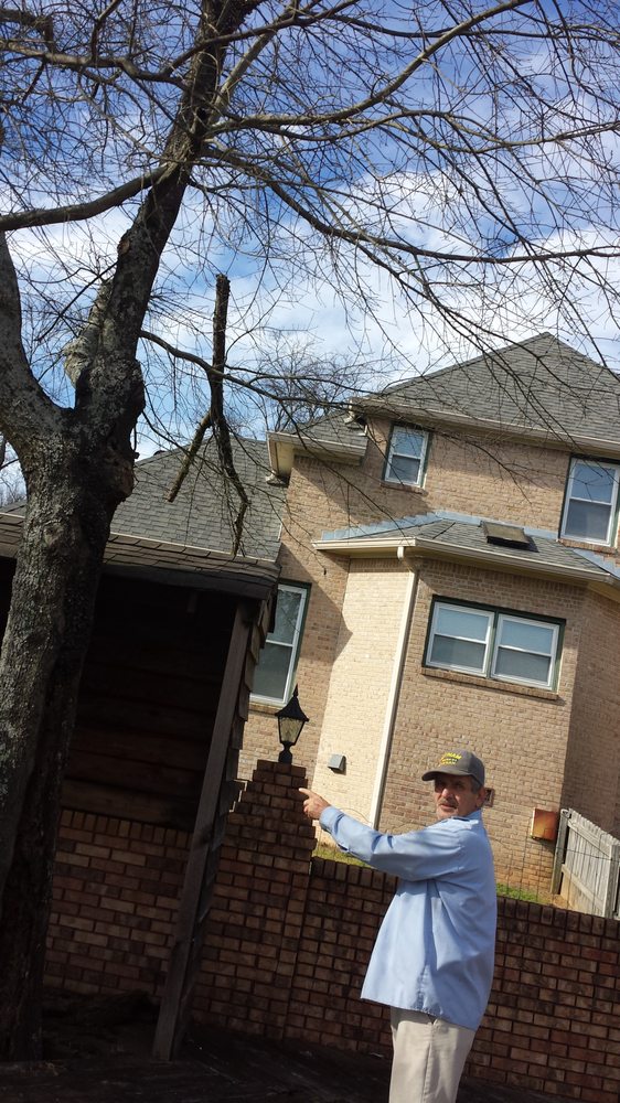Photo of Affordable Lawncare