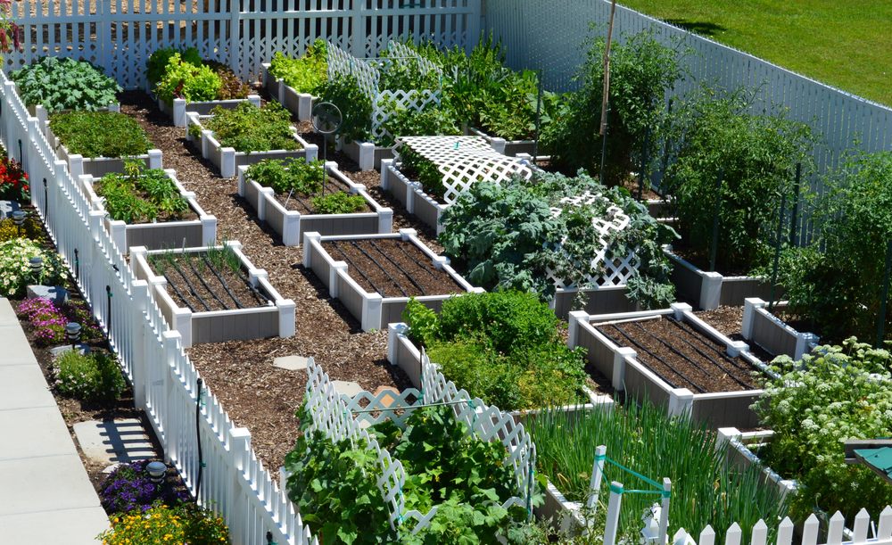 Photo of EZ Gates & Gardens