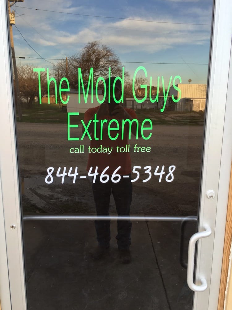 Photo of The Mold Guys Extreme