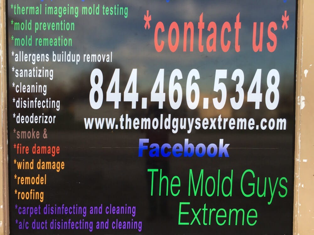 Photo of The Mold Guys Extreme