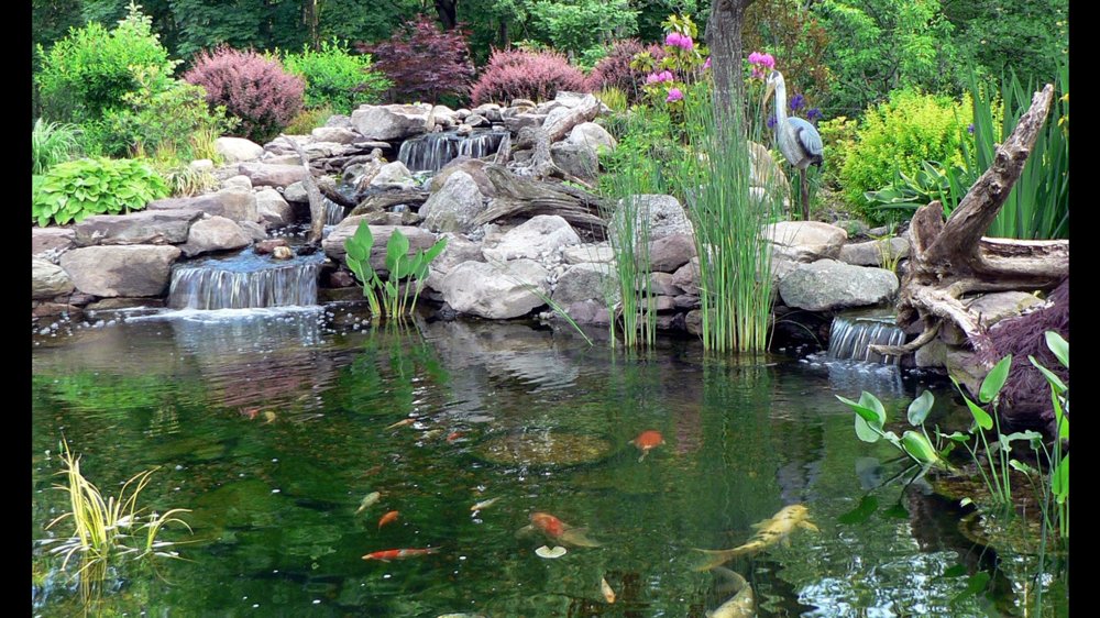 Photo of Ponds & Beyond