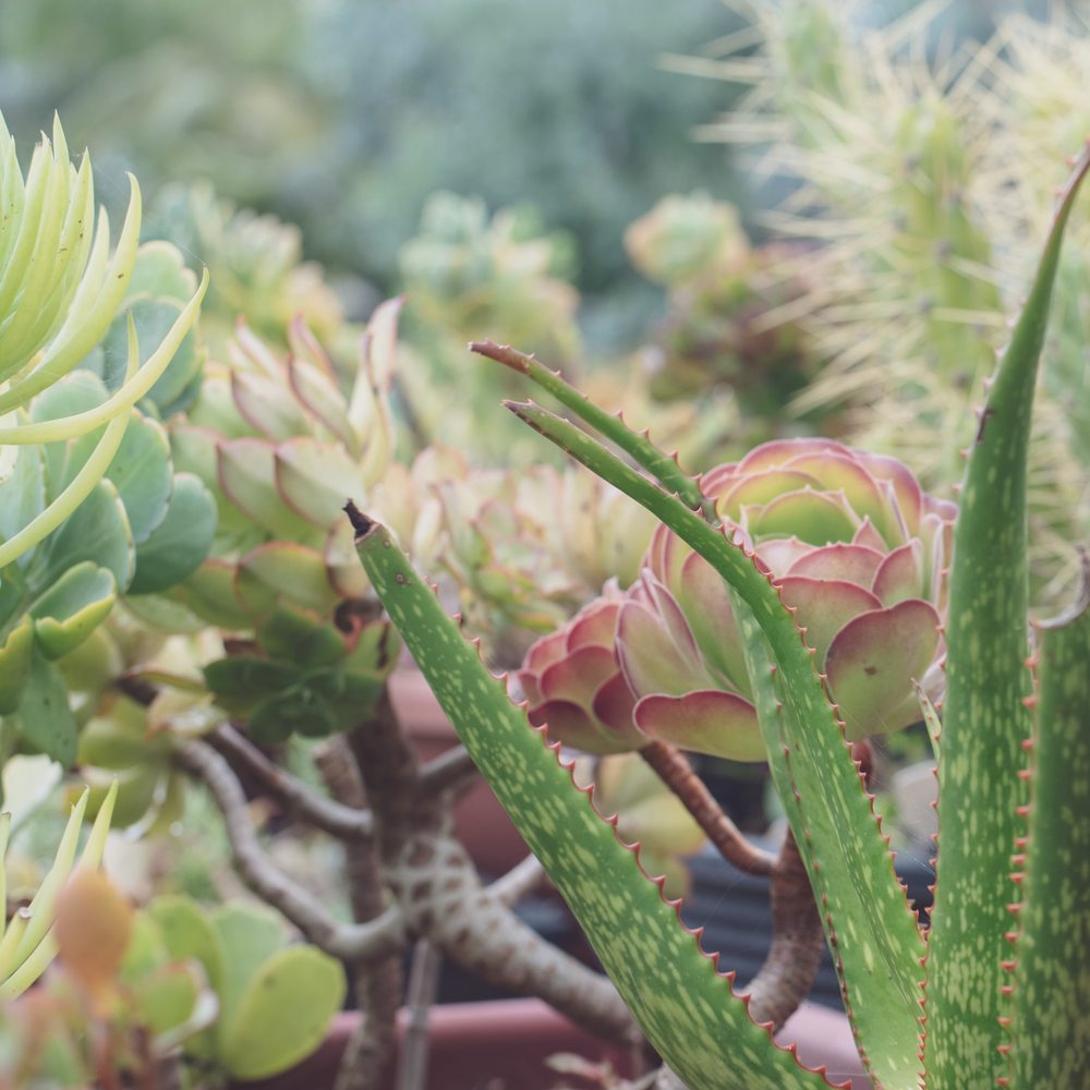 Photo of Nature's Elements Landscaping