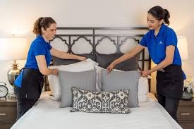 Photo of House Cleaning Pros