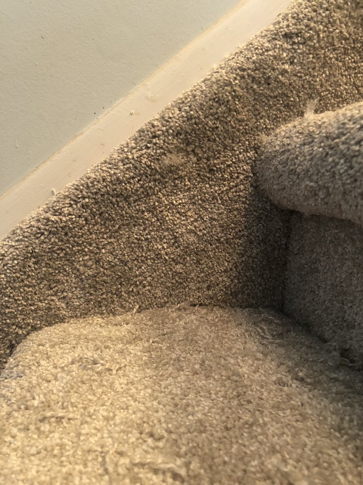 Photo of Carpet Guys Oakland County MI