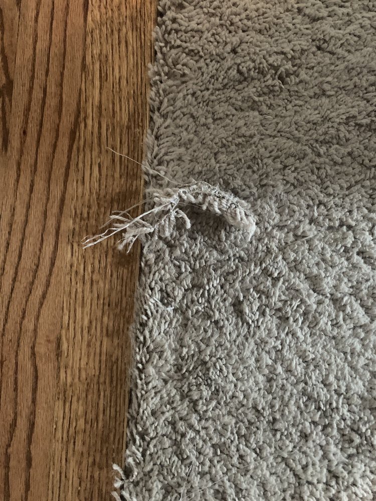 Photo of Carpet Guys Oakland County MI