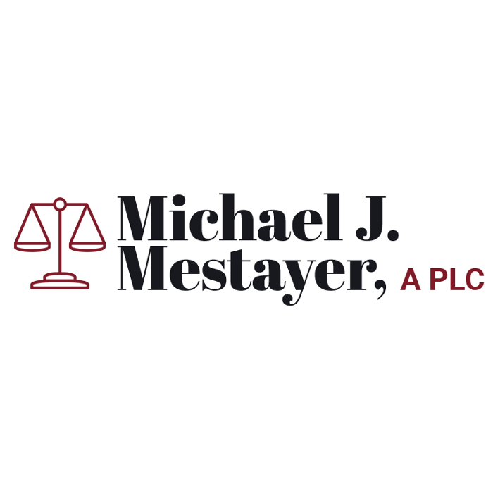 Photo of Michael J Mestayer