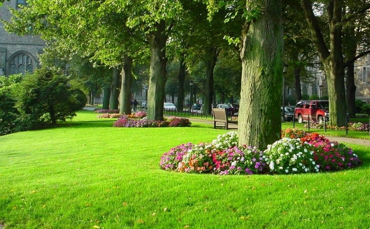 Photo of Going Green Lawn Services