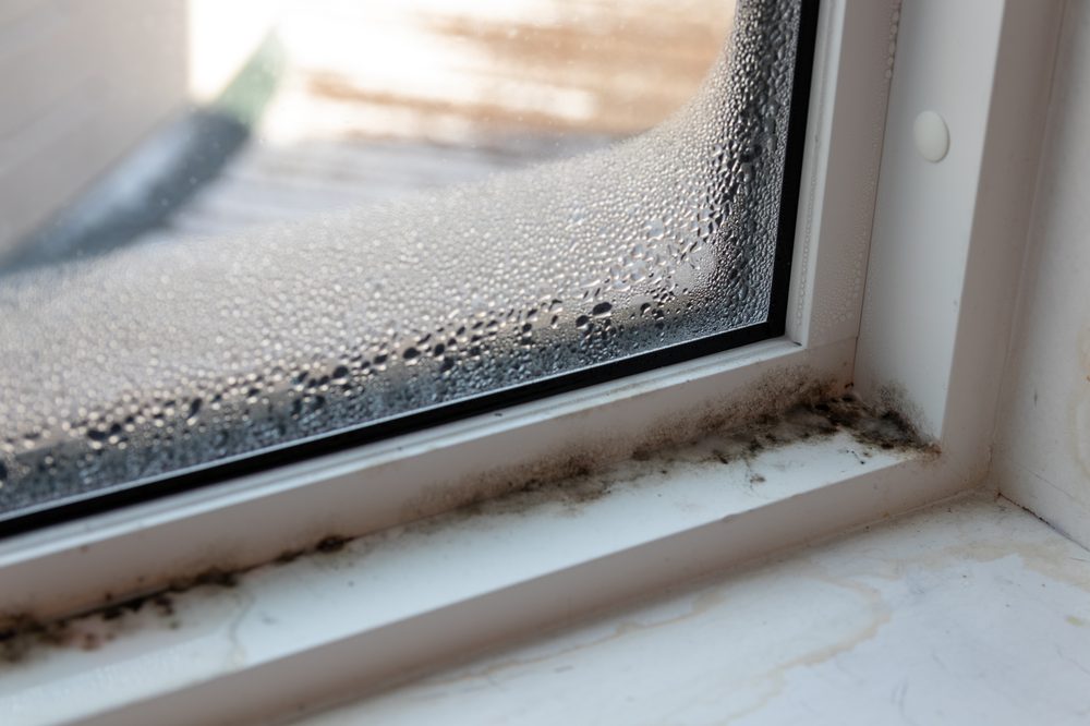 Photo of Mold Remediation Professionals