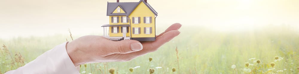 Photo of Able Insurance