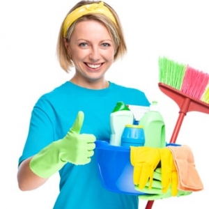 Carmel Clover maid service