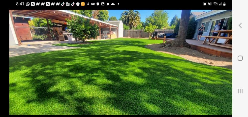 Photo of Cal Pro Artificial Turf