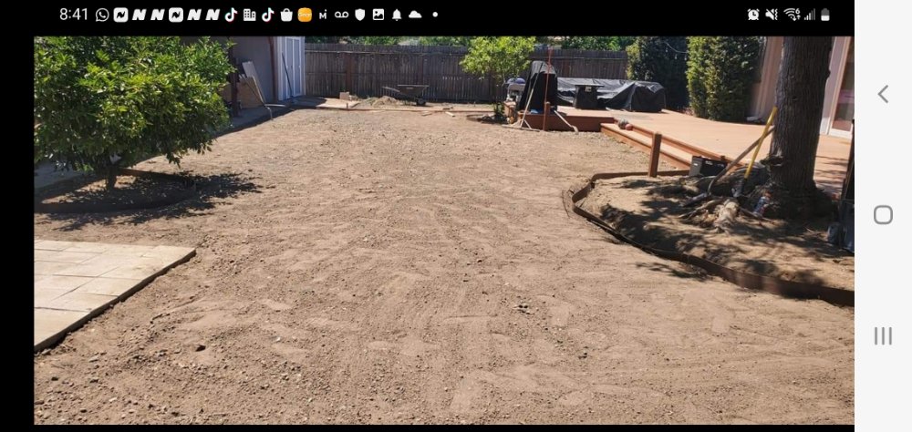 Photo of Cal Pro Artificial Turf