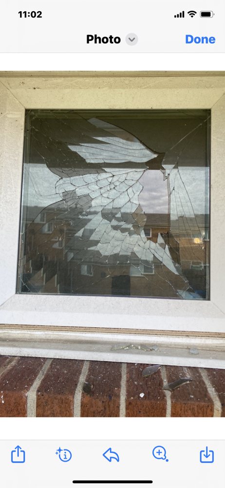 Photo of Window Doctors