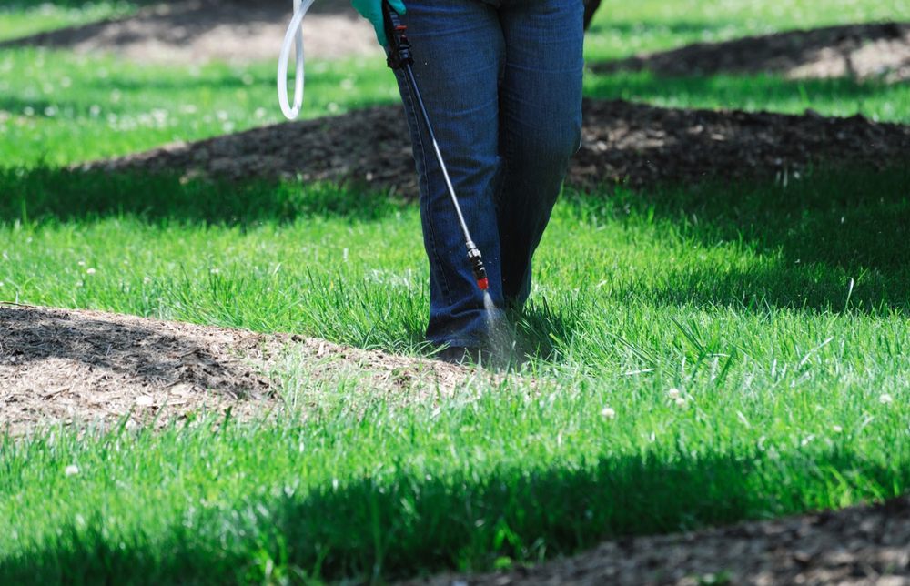 Photo of LSL Pressure Washing Services