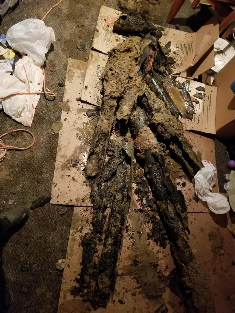 Photo of Metro-Rooter Plumbing Drain Cleaning Restoration