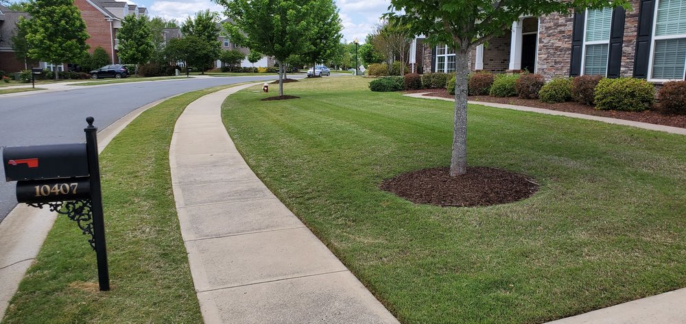 Photo of Tarheel Turf Lawn Care & Maintenance
