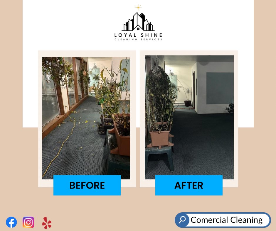 Photo of Loyal Shine Cleaning Services